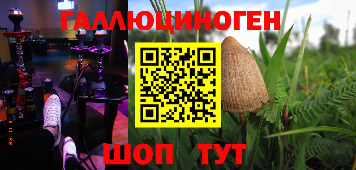 Галлюциногенные грибы Psilocybine cubensis Кисловодск