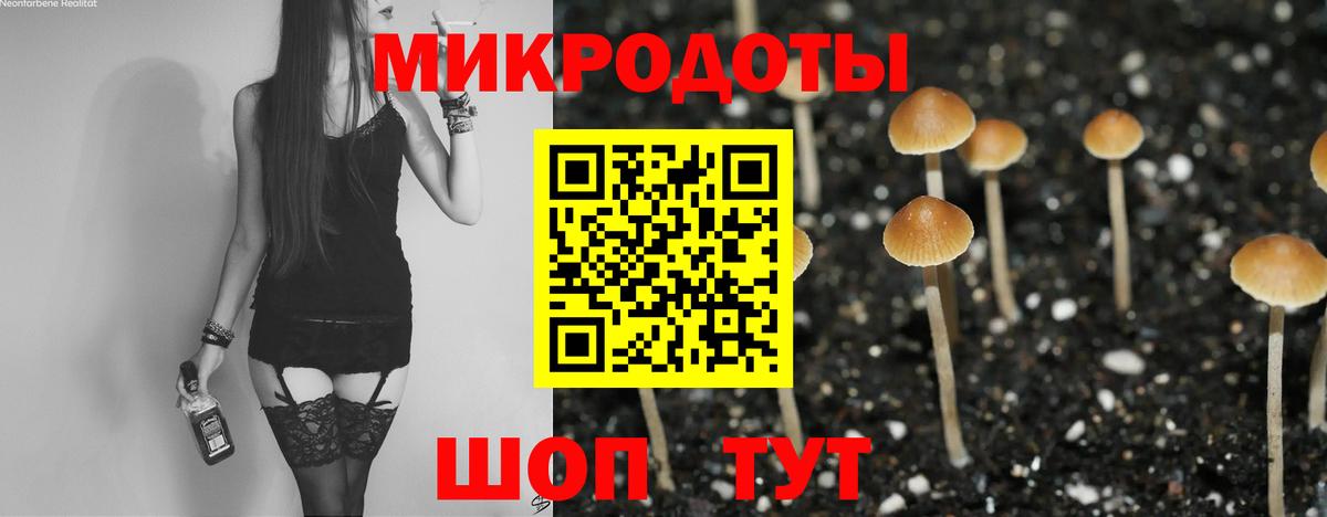 Кисловодск  где купить наркотик  Вход с VPN  Псилоцибиновые грибы прущие грибы 